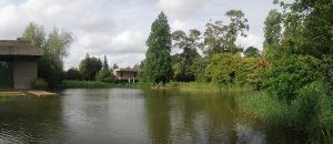No Jardim Gulbenkian