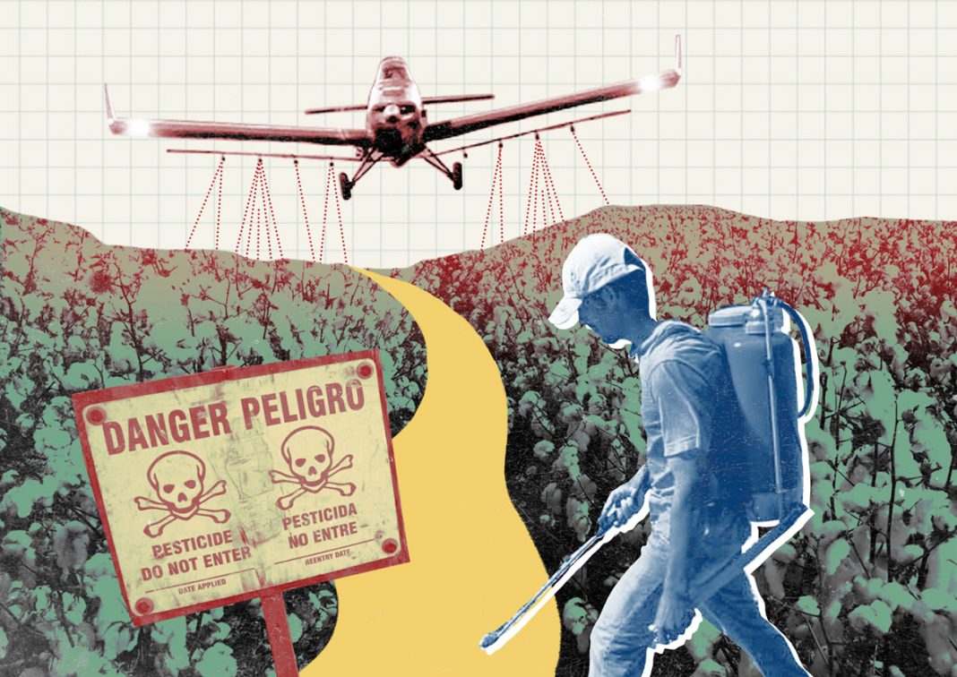 Bio Região não rima com glifosato É preciso governar com honestidade