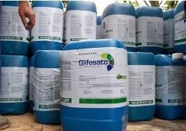 Bio Região não rima com glifosato
É preciso governar com honestidade