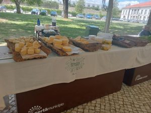 Ecomercado Sertanense: A Promoção da Sustentabilidade e a Economia Local