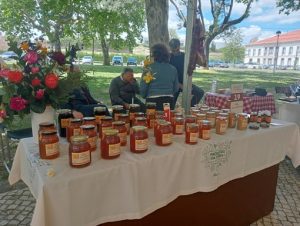 Ecomercado Sertanense: A Promoção da Sustentabilidade e a Economia Local