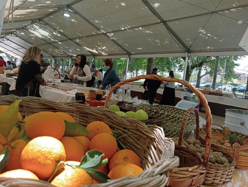 Ecomercado Sertanense: A Promoção da Sustentabilidade e a Economia Local