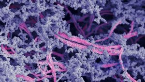 Novo Biomaterial Promete Revolucionar Tratamento de Lesões Articulares